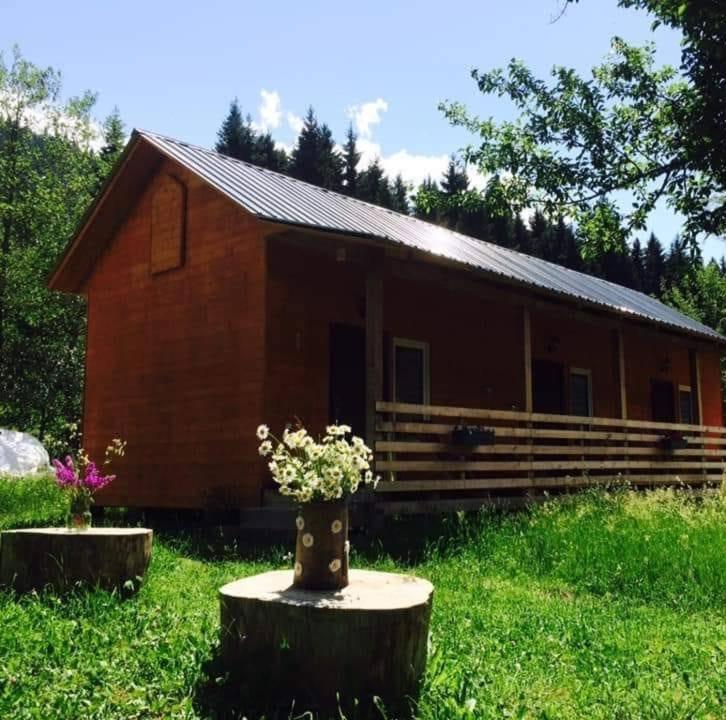 Cottage Shgedi Mestia Bagian luar foto