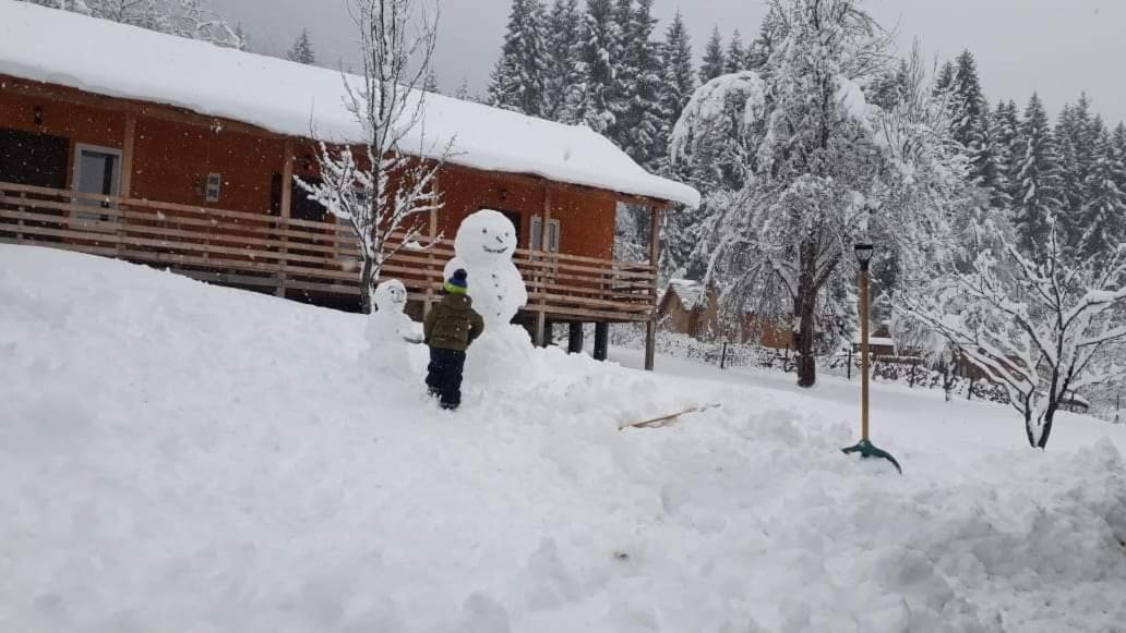 Cottage Shgedi Mestia Bagian luar foto