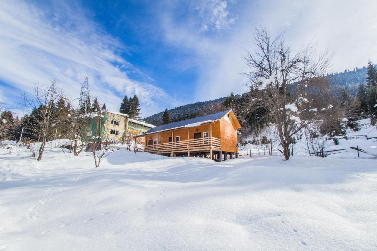 Cottage Shgedi Mestia Bagian luar foto