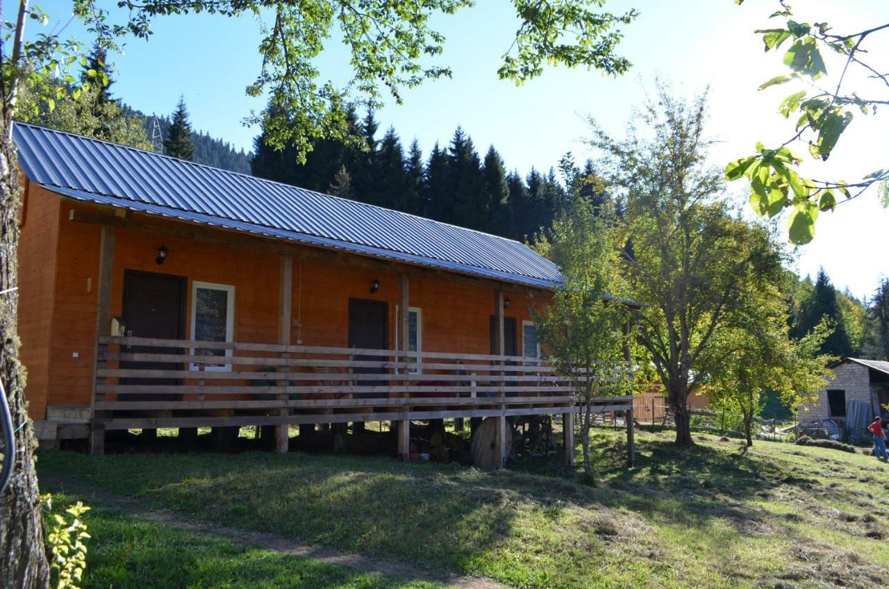 Cottage Shgedi Mestia Bagian luar foto