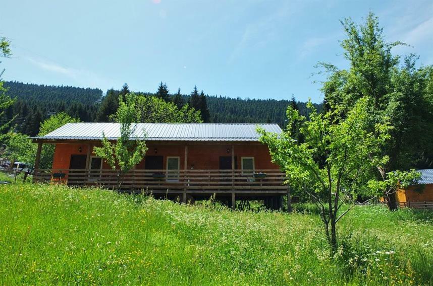 Cottage Shgedi Mestia Bagian luar foto