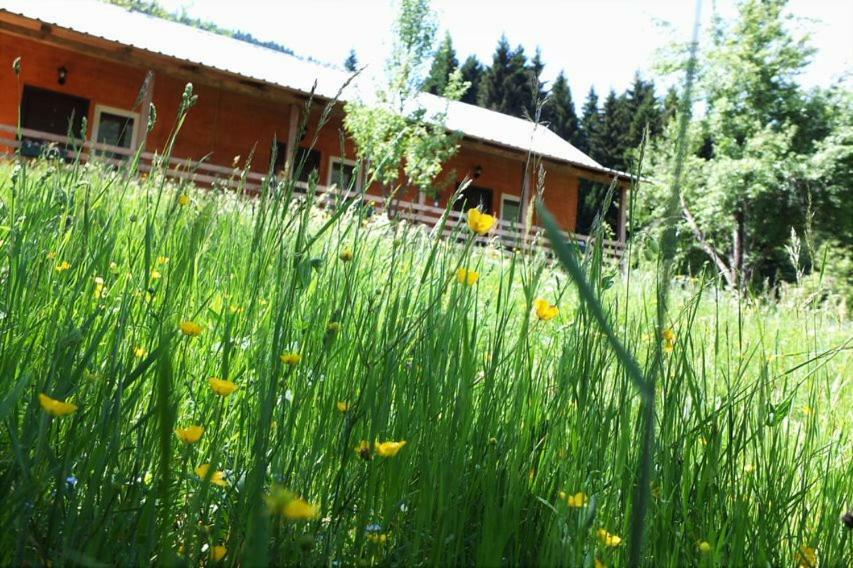 Cottage Shgedi Mestia Bagian luar foto